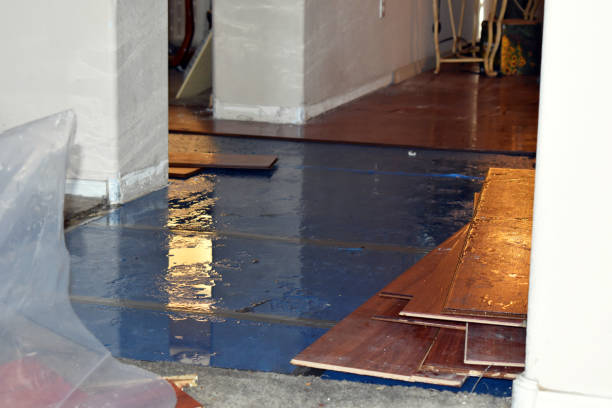 Professional Sewage Cleanup technician working in Crestline, CA